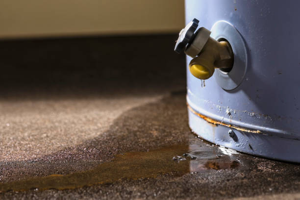 Best Water damage restoration near me  in Glen Lyon, PA