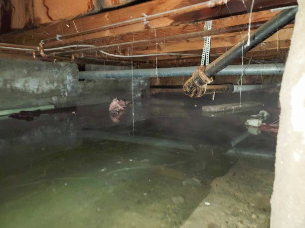Local water damage restoration in Glen Lyon, PA