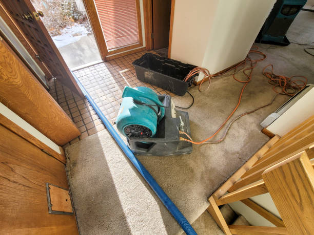 Best Carpet water damage restoration  in Glen Lyon, PA