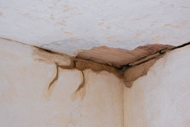 Best Water damage contractors near me  in Glen Lyon, PA