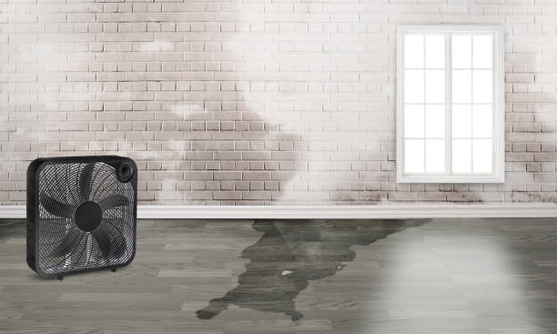 Trusted Glen Lyon, PA Water damage restoration Experts