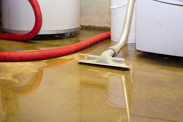 Best Commercial water damage restoration  in Glen Lyon, PA