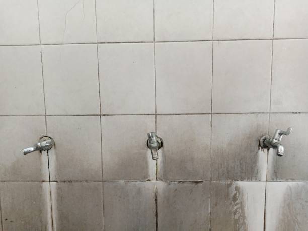 Best Water damage cleanup near me  in Glen Lyon, PA