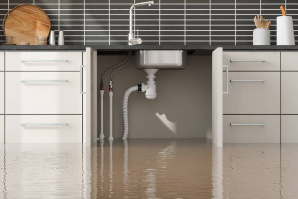 Best Flood restoration services  in Glen Lyon, PA