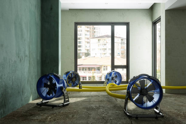 Best 24-hour water damage restoration  in Glen Lyon, PA